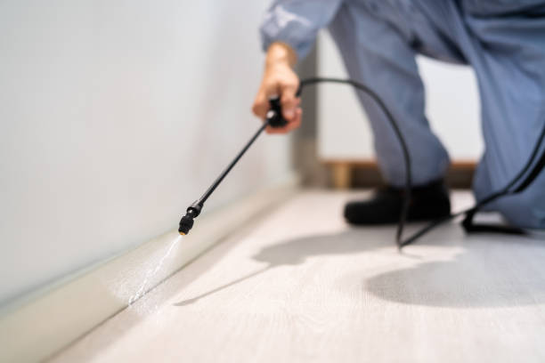 Licensed Mosquito Control service in Naples, FL - Nex Pest Control