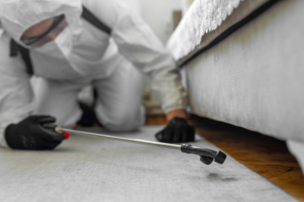 Professional Mosquito Control technician working in Naples, FL