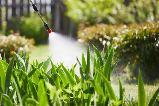 24/7 Emergency Mosquito Control experts in Naples, FL