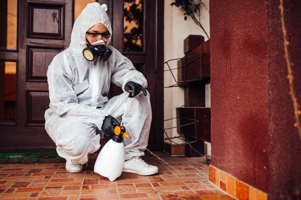 Reliable Mosquito Control contractor in Naples, FL by Nex Pest Control