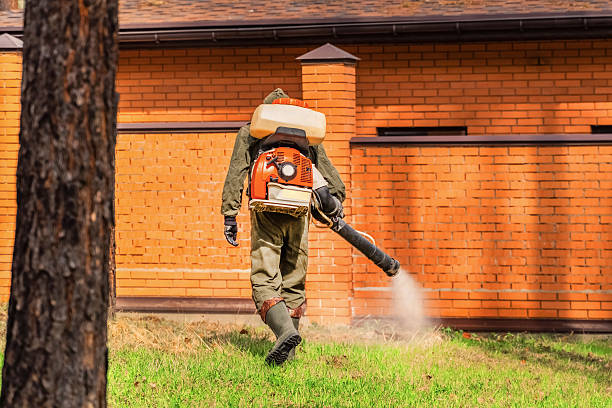 Top rated local Mosquito Control specialists in Naples, FL